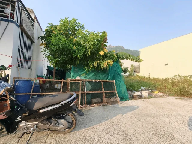 Bất động sản tại Khánh Hòa - ảnh 1