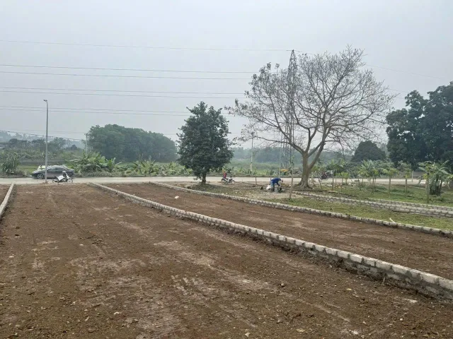 Bất động sản tại Phú Thọ - ảnh 1
