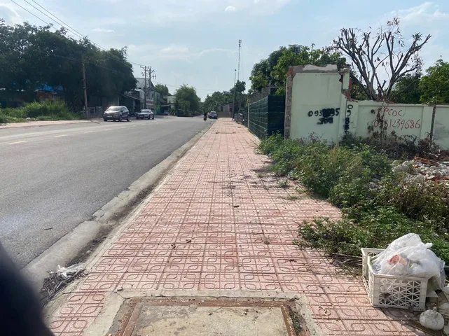 Bất động sản tại Bình Dương - ảnh 1