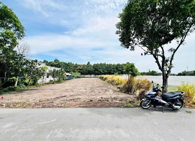 Bất động sản tại Đồng Nai - ảnh 1