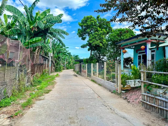 Bất động sản tại Đà Nẵng - ảnh 1