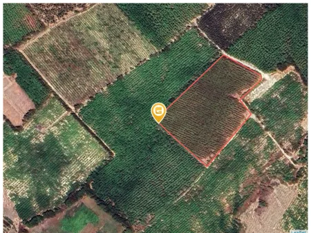 Bất động sản tại Lâm Đồng - ảnh 1