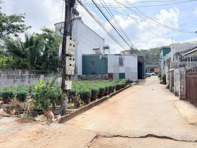 Bất động sản tại Đắk Lắk - ảnh 1