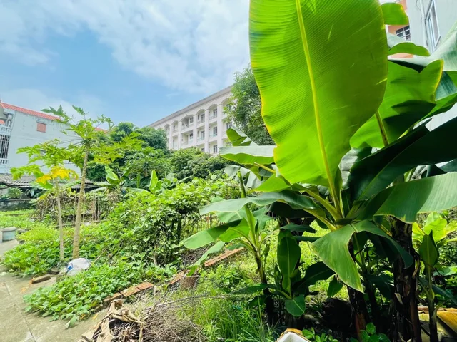 Bất động sản tại Hà Nội - ảnh 1
