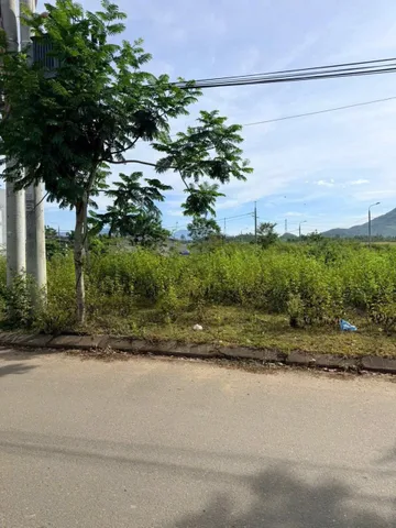 Bất động sản tại Đà Nẵng - ảnh 1