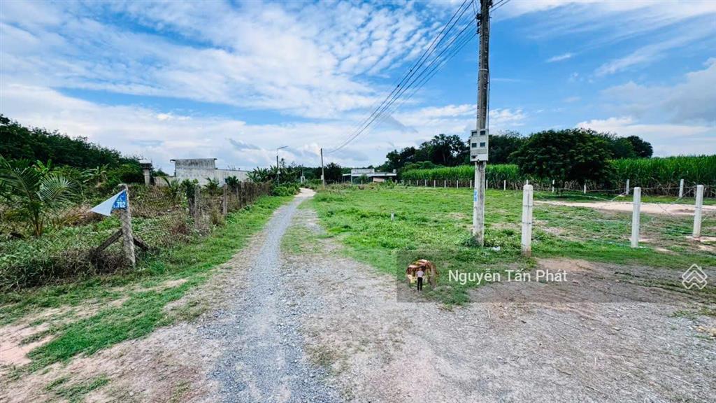Bất động sản tại Tây Ninh - ảnh 1