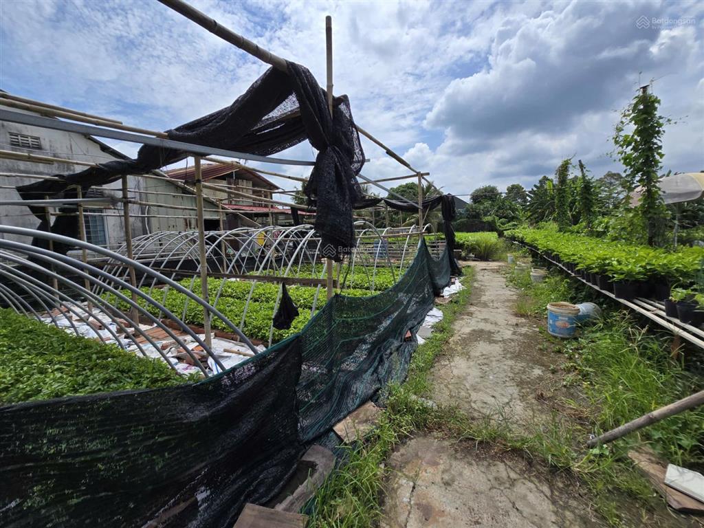 Bất động sản tại Đồng Tháp - ảnh 1