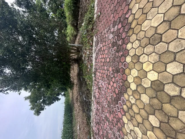Bất động sản tại Cà Mau - ảnh 1