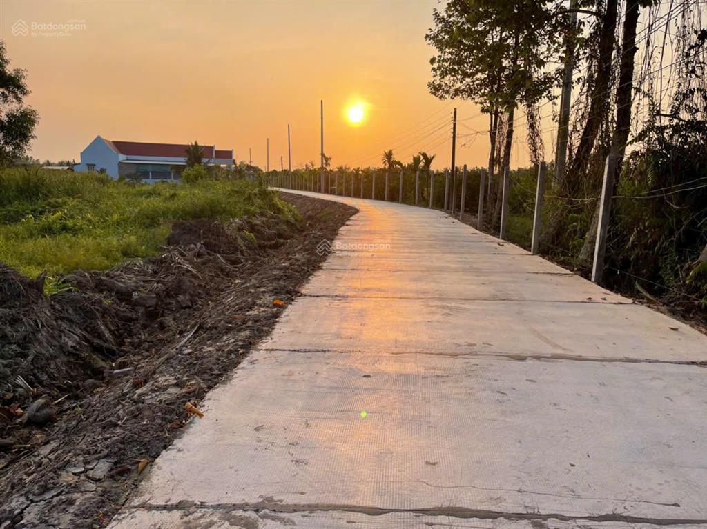 Bất động sản tại Long An - ảnh 1