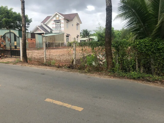 Bất động sản tại Bình Dương - ảnh 1