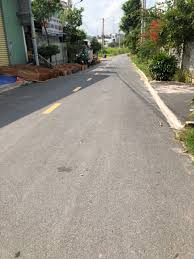 Bất động sản tại Bình Dương - ảnh 1