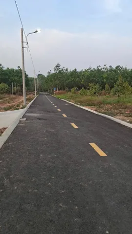 Bất động sản tại Bình Phước - ảnh 1