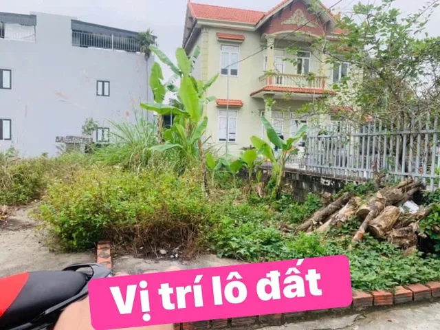 Bất động sản tại Hải Phòng - ảnh 1