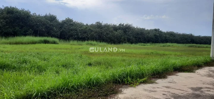 Bất động sản tại Bình Dương - ảnh 1