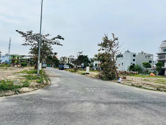 Bất động sản tại Hải Phòng - ảnh 1