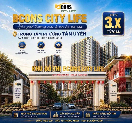 Bất động sản tại Bình Dương - ảnh 1