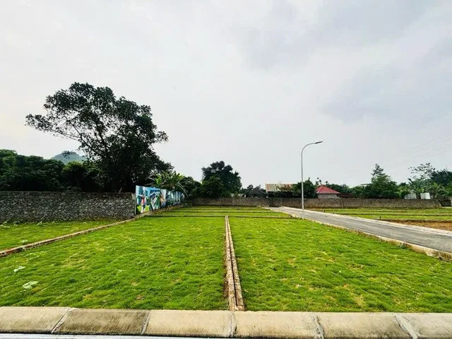 Bất động sản tại Phú Thọ - ảnh 1