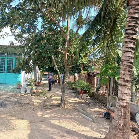 Bất động sản tại Tây Ninh - ảnh 1