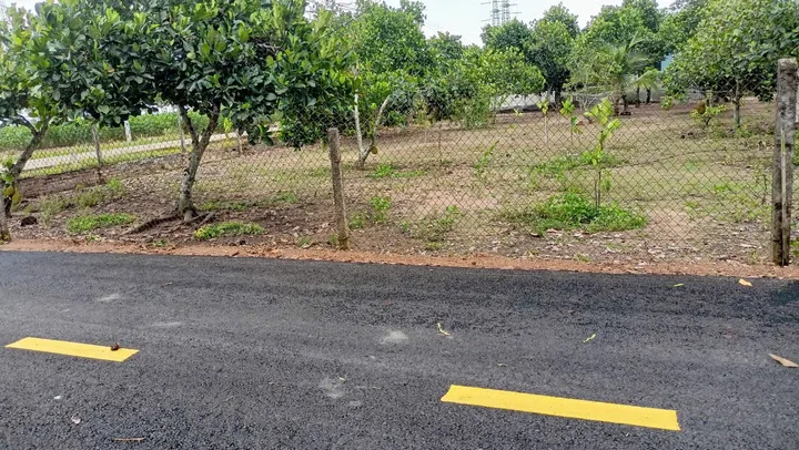Bất động sản tại Bình Dương - ảnh 1