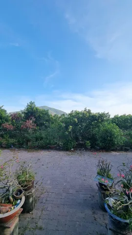 Bất động sản tại Bà Rịa - Vũng Tàu - ảnh 1