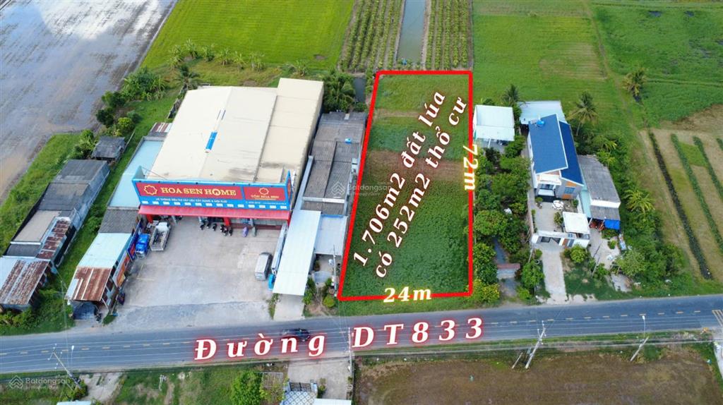 Bất động sản tại Long An - ảnh 1