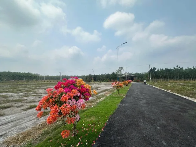 Bất động sản tại Bình Phước - ảnh 1