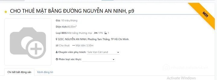 Bất động sản tại TP. Hồ Chí Minh - ảnh 1