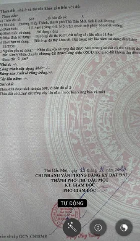 Bất động sản tại Bình Dương - ảnh 1