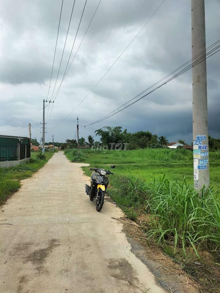 Bất động sản tại Long An - ảnh 1