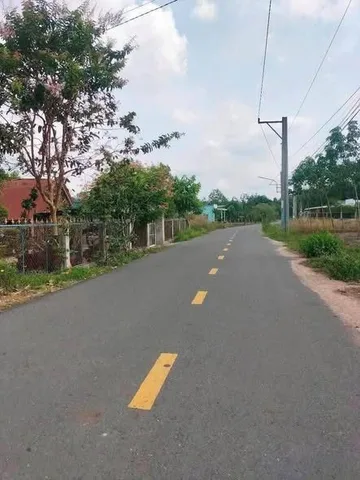 Bất động sản tại Bình Dương - ảnh 1