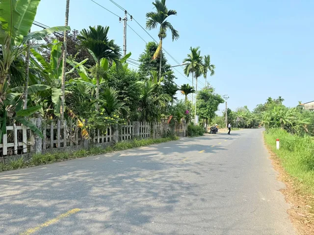 Bất động sản tại Đà Nẵng - ảnh 1