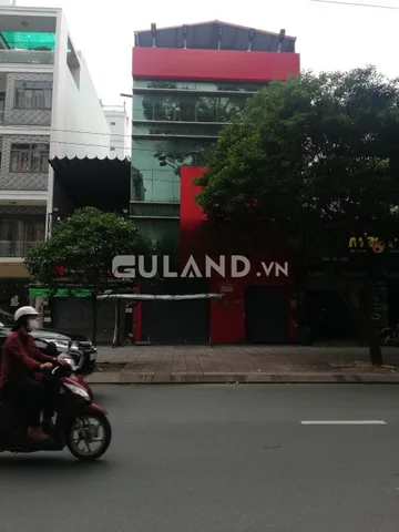 Bất động sản tại TP. Hồ Chí Minh - ảnh 1