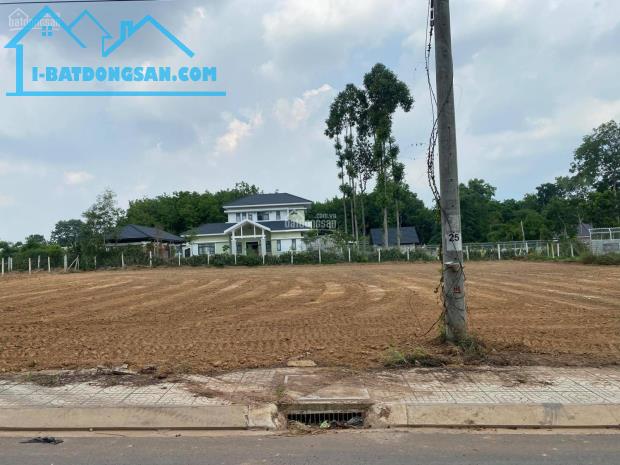 Bất động sản tại Bình Phước - ảnh 1