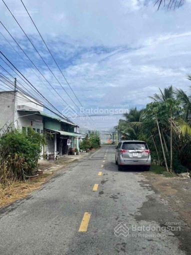 Bất động sản tại Long An - ảnh 1