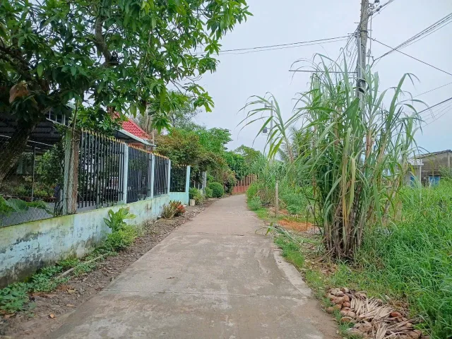 Bất động sản tại Tây Ninh - ảnh 1