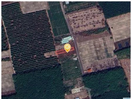 Bất động sản tại Bình Dương - ảnh 1