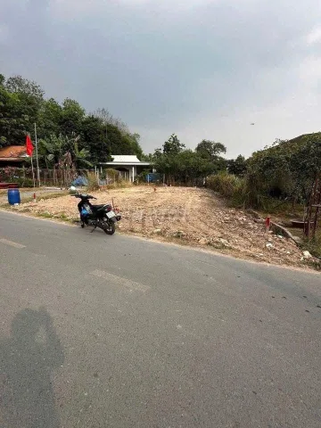 Bất động sản tại Bình Dương - ảnh 1