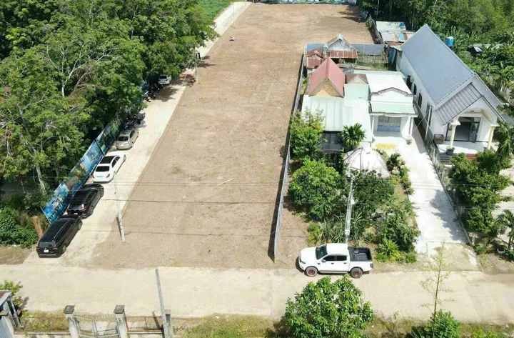 Bất động sản tại Bình Dương - ảnh 1