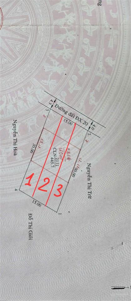 Bất động sản tại Bình Dương - ảnh 1