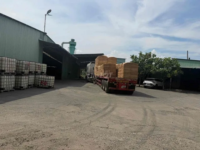 Bất động sản tại Bình Dương - ảnh 1