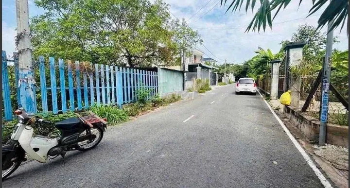 Bất động sản tại Bình Dương - ảnh 1
