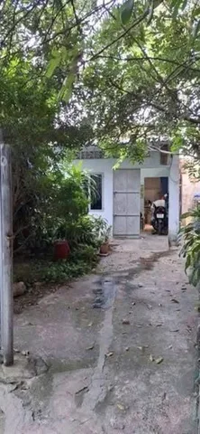 Bất động sản tại Bình Dương - ảnh 1