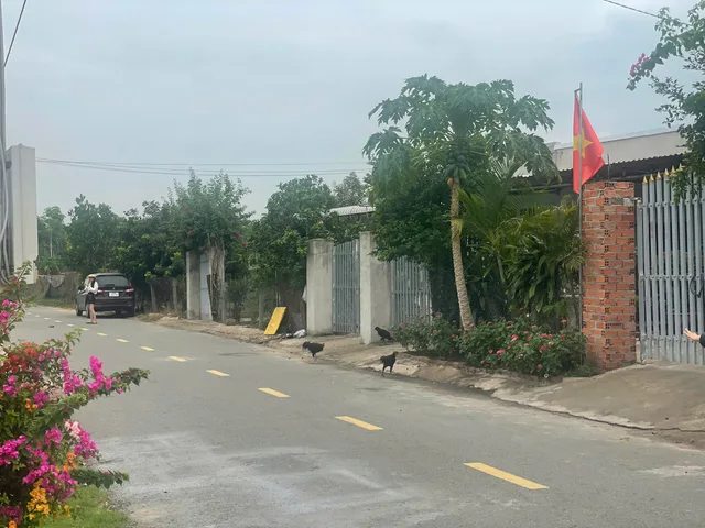 Bất động sản tại Bình Dương - ảnh 1