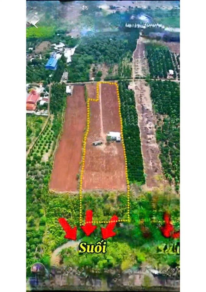 Bất động sản tại Bà Rịa - Vũng Tàu - ảnh 1