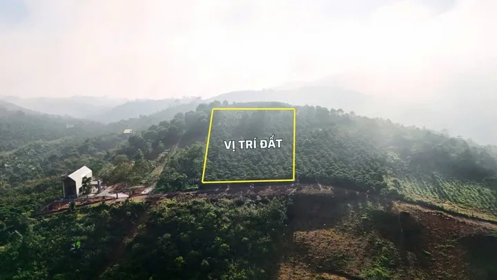 Bất động sản tại Lâm Đồng - ảnh 1