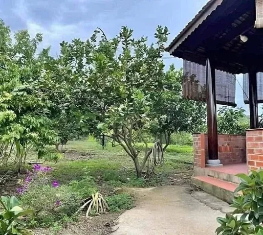 Bất động sản tại Bình Dương - ảnh 1