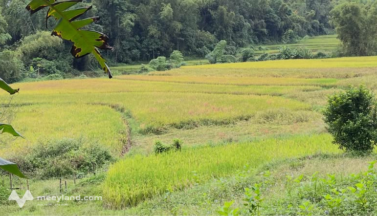 Bất động sản tại Cao Bằng - ảnh 1