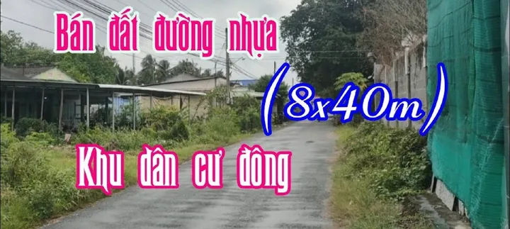 Bất động sản tại Bình Dương - ảnh 1