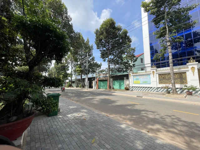 Bất động sản tại Bình Dương - ảnh 1