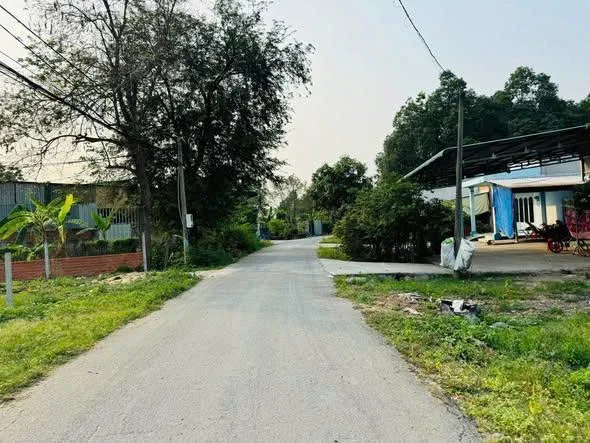 Bất động sản tại TP. Hồ Chí Minh - ảnh 1